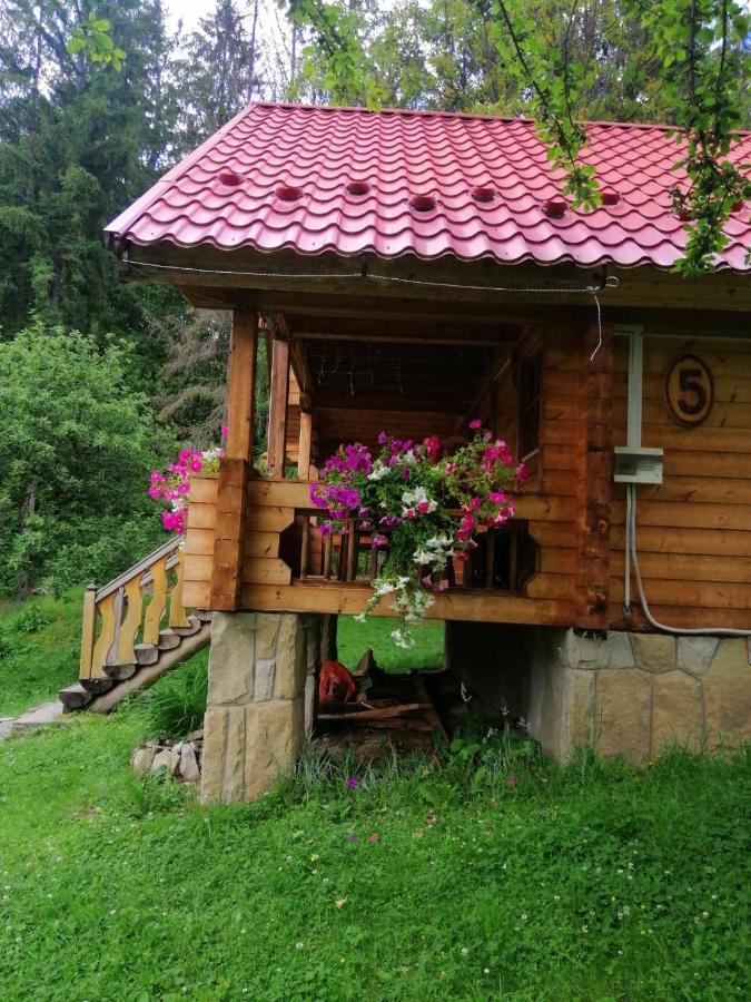 Микулин Хутірець Микуличин Екстериор снимка